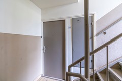 F06 1014STM Auriollaan98.jpg